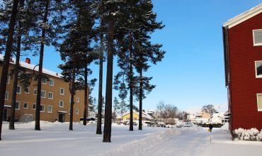 Talldungens BRF